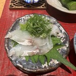 鮨 まぜき - マゴチ