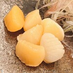 木挽町 とも樹 - 大星サイズの小柱。ラッコの大好物