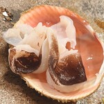 木挽町 とも樹 - 鳥貝です。貝殻のムラサキが美しい