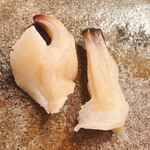 木挽町 とも樹 - 本ミル貝。根元が太い！