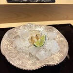 壽志 丈太朗 - つぶ貝は藻塩が 見た目も爽やか✨️