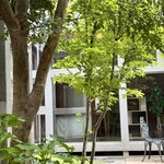 ルヴェール - 綺麗なお庭を観ながらのランチは、
      より一層お食事が美味しく感じられました❤️