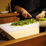 瞬 - 大量の木の芽