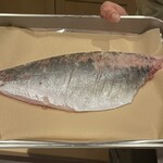 馳走 啐啄一十  - 1.7㎏の周防灘の鯵