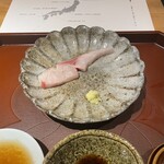 馳走 啐啄一十  - 周防灘の鯵