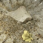 馳走 啐啄一十  - 凄い弾力、ぶりんぶりん