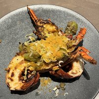 オッジ ダルマット 西麻布店 - 