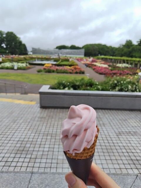 Parks Rose Garden Toritsu Jindai Shokubutsu Koen photo 5