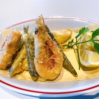 CODA ROSSA -  CODA ROSSA -