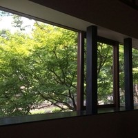 キメラ - 