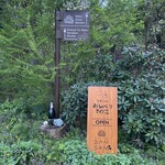 おしゃべりきのこ - 