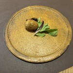 おしゃべりきのこ - 