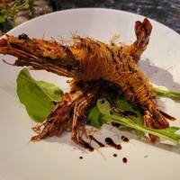 クインチチェントラーレ - 