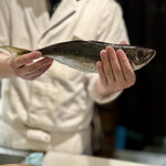 湘南ゆるり。 - 