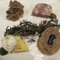 ブラチェリア バーヴァ - 