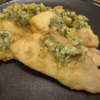 ブラチェリア バーヴァ - 