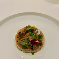 Noeud.×THE CHEF'S - 