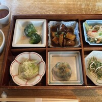 雪梅花 菜根譚 - 