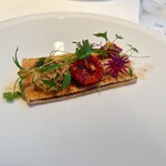 ジョンティ アッシュ - 