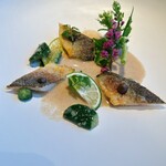 ジョンティ アッシュ - 