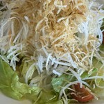 珈琲哲學 - 料理写真:だいこんのパリパリサラダ