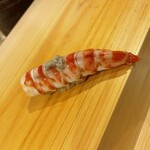 鮨 太一 - 4）車海老