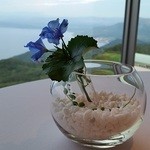 ミシェル・ブラス トーヤ ジャポン - 卓上の花。