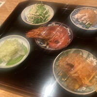 雪梅花 菜根譚 - 