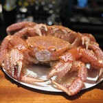 蒼 - 毛ガニも泡吹いてお迎えします。