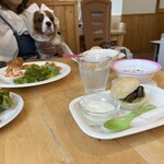 カフェ ピーチェ - 