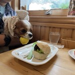 カフェ ピーチェ - 