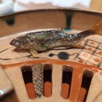 銀座 しのはら - 小鮎の塩焼き