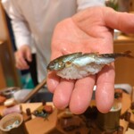 銀座 しのはら - 小鮎のにぎり