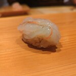 鮨 さかい - ボタンエビ