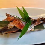 山玄茶 - 焼きもの