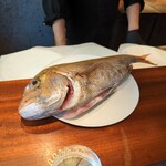 300196974 - 愛媛産真鯛