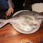 蒼 - 愛媛産3キロの真名鰹