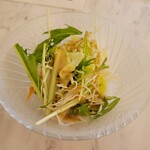 銀座 ラサ マレーシア - サラダ