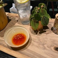 800°DEGREES ARTISAN PIZZERIA - 