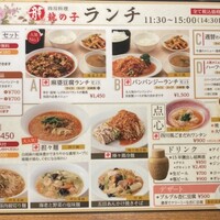 四川料理 龍の子 - 