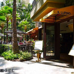 Il Lupino Trattoria & Wine Bar - 