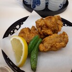 Sagi no Yu Onsen Yume Land Shirasagi