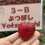 姫路ハートフル観光農園 - 