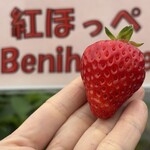 姫路ハートフル観光農園 - 