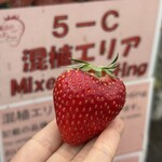 姫路ハートフル観光農園 - 