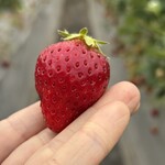 姫路ハートフル観光農園 - 