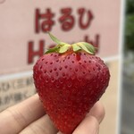 姫路ハートフル観光農園 - 