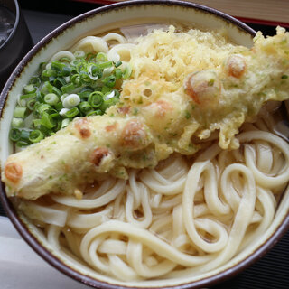 手打うどん まるたけ_1