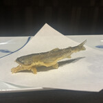 長崎天麩羅 こうてん 恵比寿店 - 