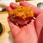 むら上 - ムラサキウニ